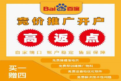 某零售业SEM策略调整，实现销售业绩大增